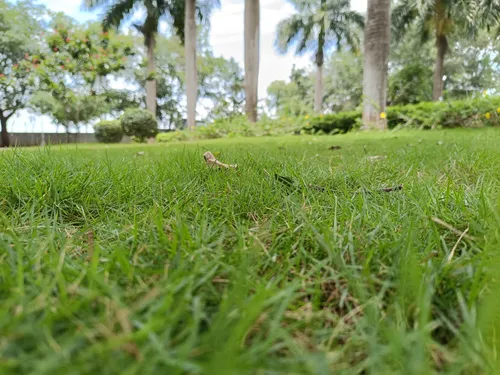 Lawnscaping business